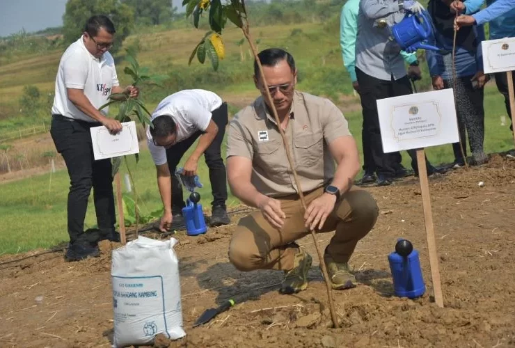 menteri atr tanam pohon
